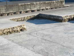 愛西市西光寺鐘楼堂・鐘撞堂建築を知る